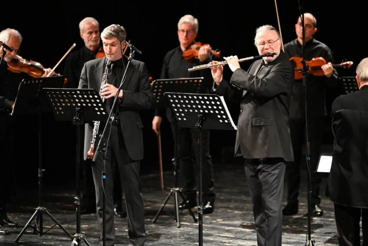 Камерен ансамбъл "Софийски солисти"